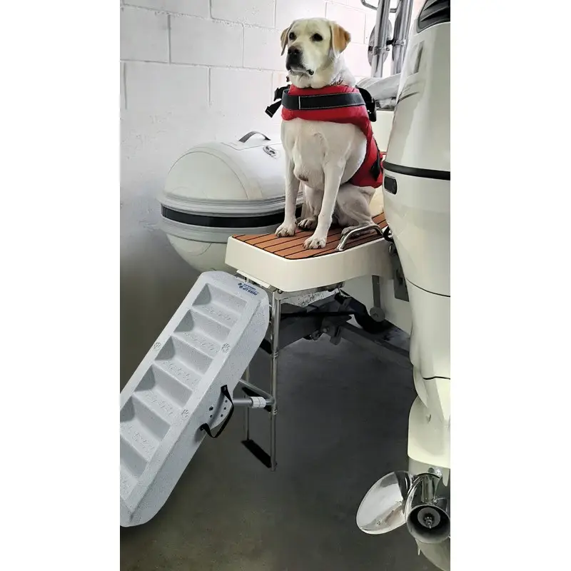 Promozione Scaletta per cani Paws Up