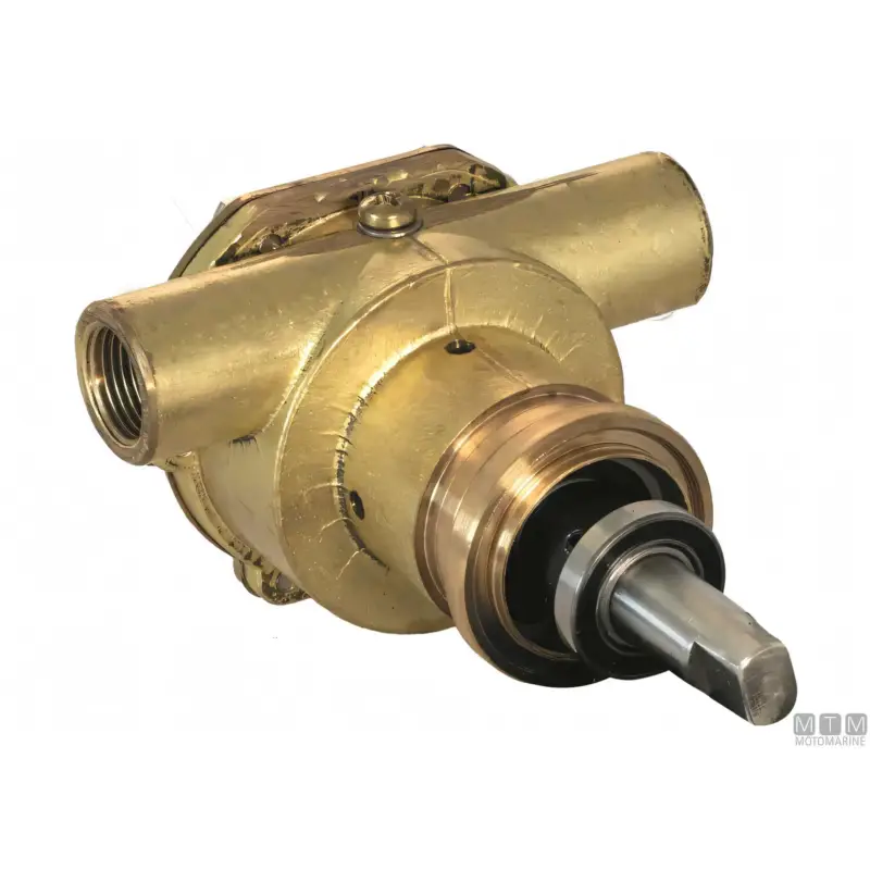 Offerta Del Giorno Pompa Raffreddamento Ancor ST134 in Bronzo