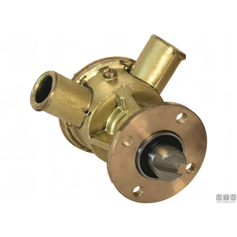 Offerta Lampo Pompa di Raffreddamento Ancor ST149 in Bronzo