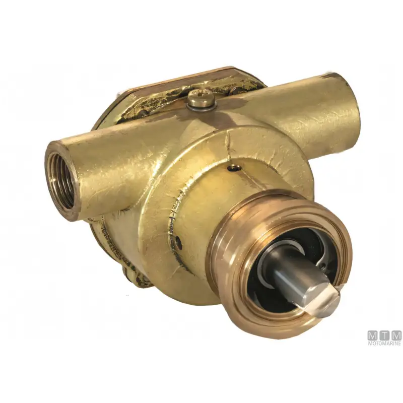 Quantità Limitata Pompa di Raffreddamento Ancor ST137 in Bronzo
