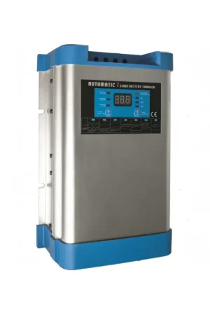 Caricabatterie New Energy 12V Motomarine Spedizione Espresso