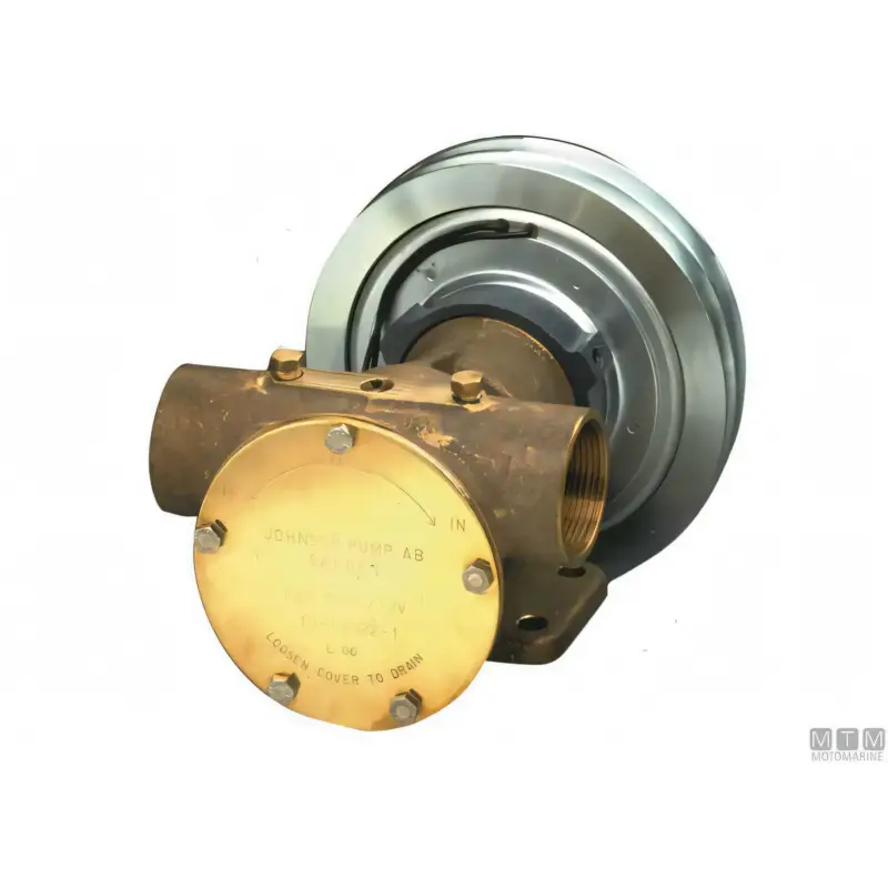 Pompa Raffreddamento SPX Johnson F8B-5001 a Frizione Magnetica Esclusivo
