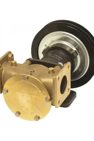 Popolare Pompa Johnson F8B-5000 TSS con Frizione Magnetica in Bronzo