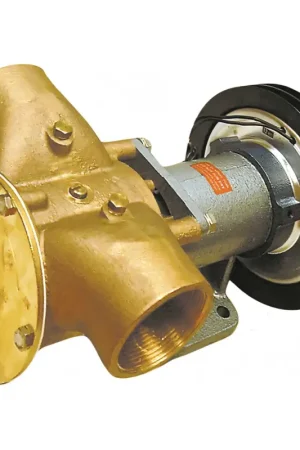 Pompa Raffreddamento Johnson F95B-5000 a Frizione Magnetica Promozione