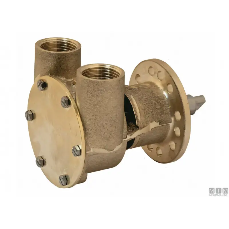 Pompa Raffreddamento Motore Johnson F5B-9 Promozione Esclusiva