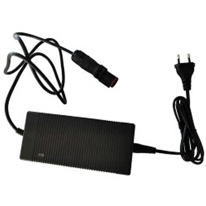 Caricabatteria Temo 1000 - 220V Affare