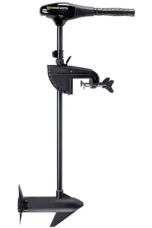 Minn Kota Endura C2 34-36" -12 V Reso Gratuito