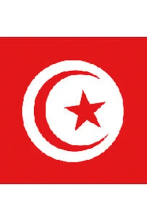 Bandiera della Tunisia 20x30 cm - Bandiere in Tessuto Stamina di Poliestere 100% Offerta Limitata