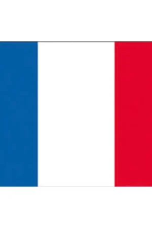 Bandiera Francia in Poliestere 30x45 cm - Bandiere in Tessuto Stamina 100% per Vela e Nautica Prezzo Scontato