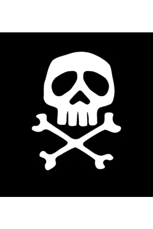 Bandiera Pirata 30x45 cm - Alta Resistenza in Poliestere 100% per Nautica - Adria Bandiere Soddisfatti O Rimborsati