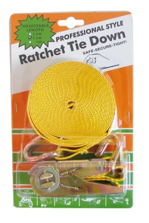 Cinghia a Cricchetto in Poliestere 454x2.5 cm - Fissaggio Sicuro con Ganci in Acciaio Zincato, Carico di Rottura 750 kg Offerta Lampo