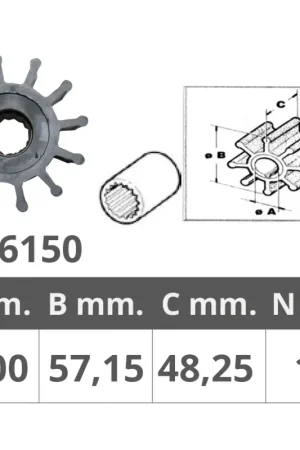 Girante Jabsco 13554-6001 - Girante Nautica 12 Pale Ø 16 mm (Intero) e Ø 57,15 mm (Esterno) Spessore 48,25 mm Consegna Rapida