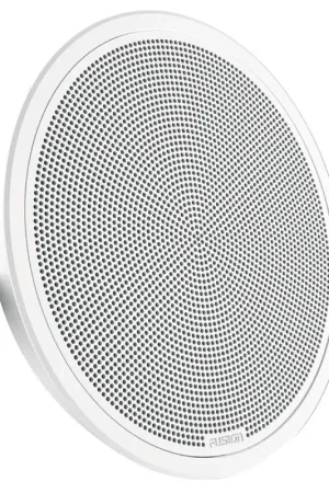 Offerta Speciale Cassa Flush Mount 10” FM-S10RW 400 W con Griglia - Potenza e Design per la Tua Nautica