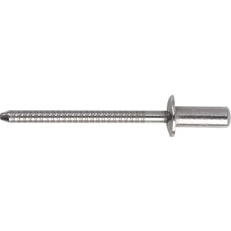 Rivetti Inox 4.8 x 14 mm - Confezione da 500 Pezzi per Nautica e Vela con Chiodo in Acciaio Inox Subito Disponibile