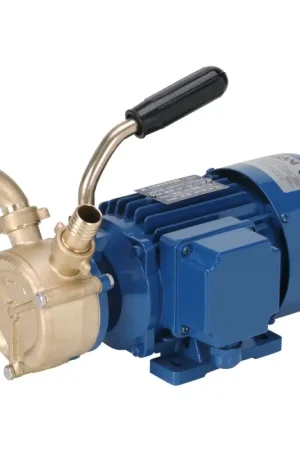 Compra Oggi Stesso Pompa EP 25/40 in Bronzo - Autoadescante fino a 6 metri - Ideale per Acqua, Olio e Gasolio - Perfetta per Impieghi Gravosi e Servizio Continuo