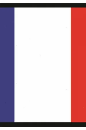 Bandiera francia 20x30cm Offerta Speciale