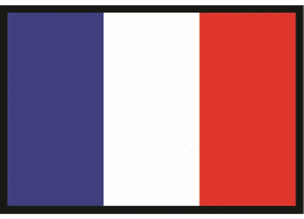 Bandiera francia 20x30cm Offerta Speciale