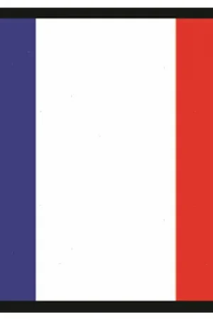 Bandiera francia 50x75cm Vendita Finale