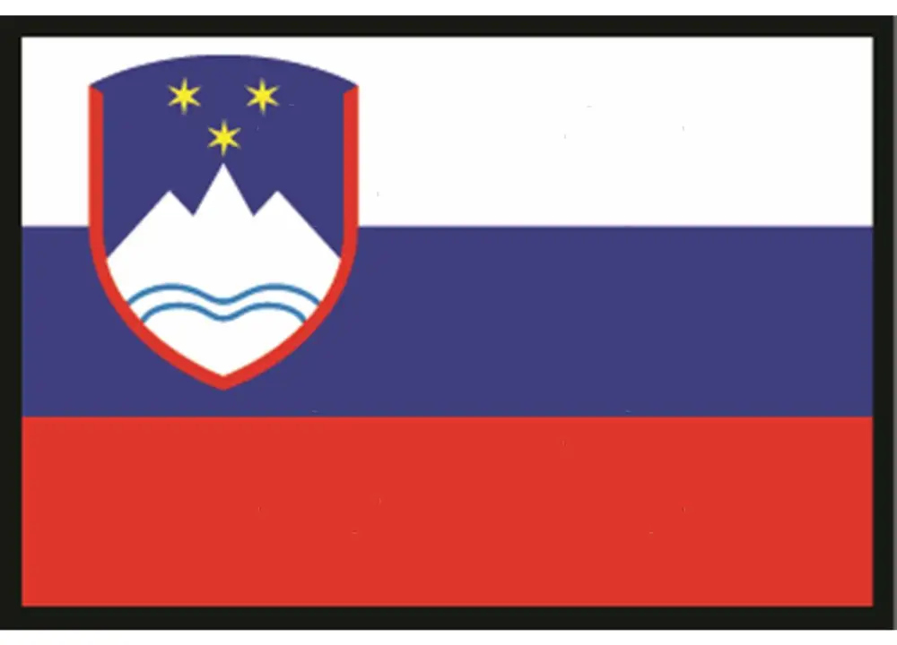 Esclusivo Bandiera slovenia 20x30cm