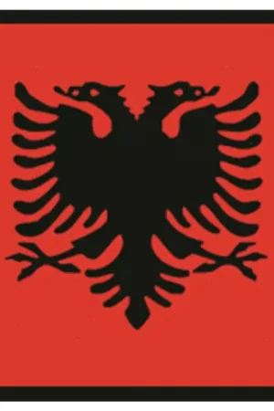 Acquista Ora Bandiera albania 20x30cm