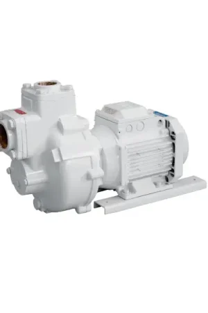 Compra Online Pompa Monoblocco BMA-M40 230/400V Gianneschi Pump