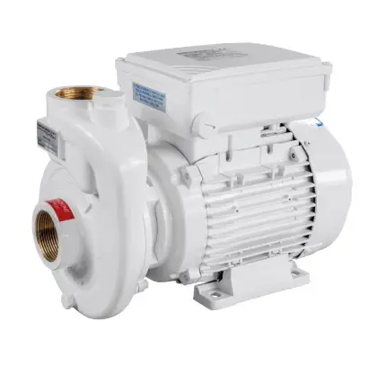 Pompa Monoblocco CB40-110 AIR-X 230V Gianneschi Pump Occasione