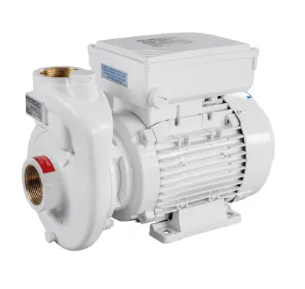Ultima Occasione Pompa Monoblocco CB40-110 AIR-X 230/400V Gianneschi Pump