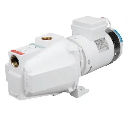 Ultima Occasione Pompa Monoblocco ECOJET 2B 230V Gianneschi Pump