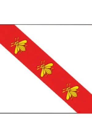 Offerta Del Giorno Bandiera regionale italiana