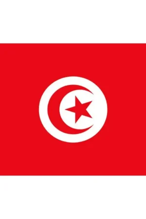 Bandiera - Tunisia Vendita Finale