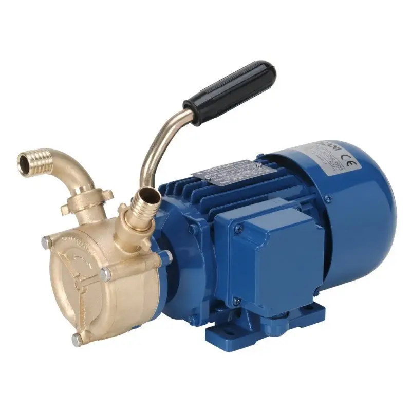 Quantità Limitata POMPA EP 20 CC 12V