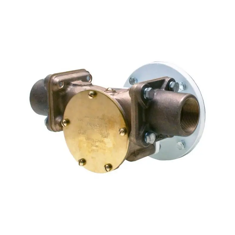 Consegna Rapida POMPA IN BRONZO 22880-2001