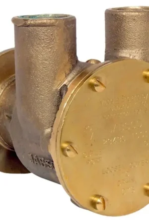 Offerta POMPA IN BRONZO 50560-1001