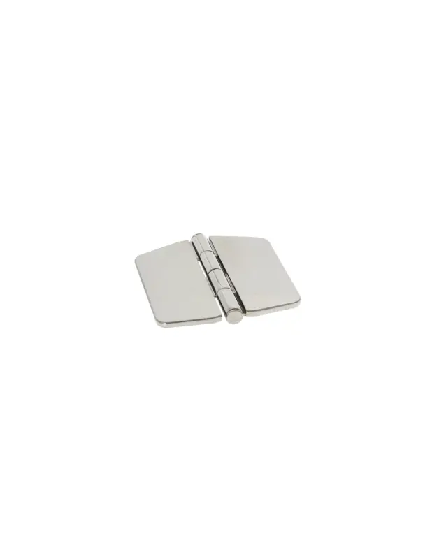 Consegna Rapida Marine Town cerniera con copertura inox AISI 316 74x75 mm perno