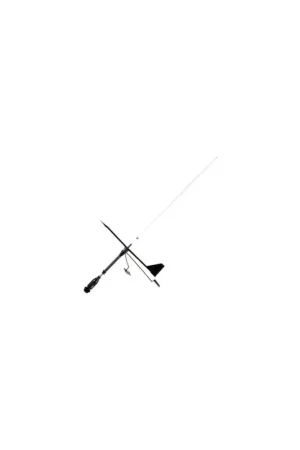 Antenna VHF Supergain Black Swan, 3 dB, 0,80 m, con segnavento Offerta Limitata