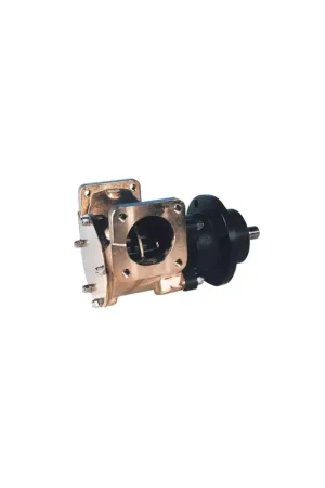 Compra Adesso Pompa flangiata Ancor MFF 57, bronzo con girante in neoprene, attacco 1-1/2"