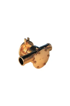 Compra Oggi Stesso Pompa flangiata Ancor ST 160, bronzo con girante in neoprene, attacco 1"