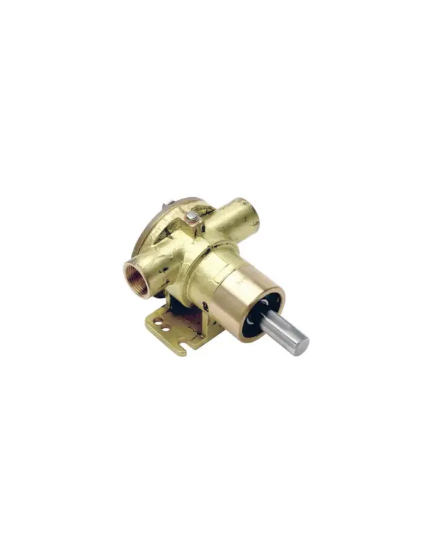 Pompa raffreddamento Ancor PM34, corpo bronzo, girante neoprene, 3/4" Consegna Rapida