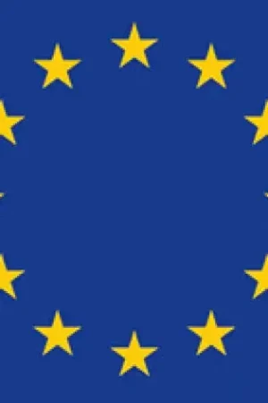 Bandiera Europa 20 x 30 cm Prezzo Conveniente